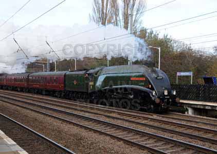 Purchase photo of 60009 UNION OF SOUTH AFRICA at Welham Green